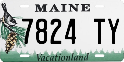 ME license plate 7824TY