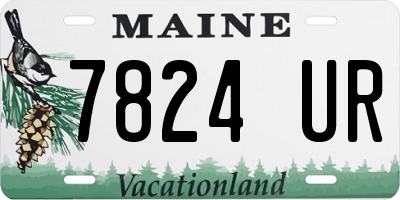 ME license plate 7824UR