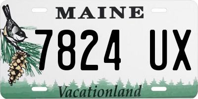 ME license plate 7824UX