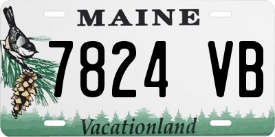 ME license plate 7824VB
