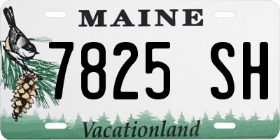 ME license plate 7825SH