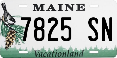 ME license plate 7825SN