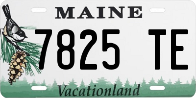 ME license plate 7825TE