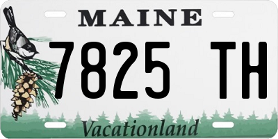 ME license plate 7825TH