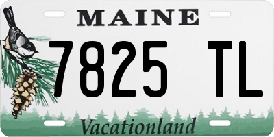ME license plate 7825TL