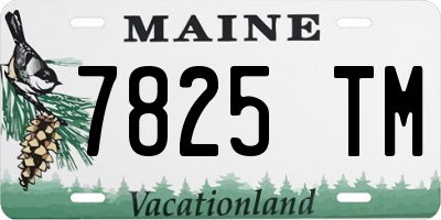 ME license plate 7825TM