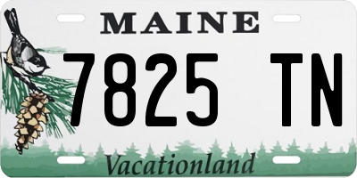 ME license plate 7825TN