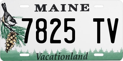 ME license plate 7825TV
