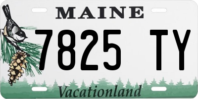 ME license plate 7825TY