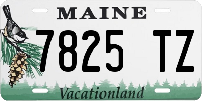 ME license plate 7825TZ