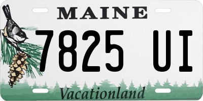 ME license plate 7825UI