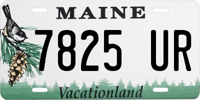 ME license plate 7825UR