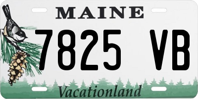 ME license plate 7825VB