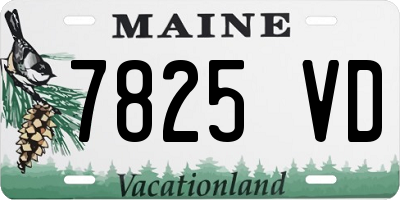 ME license plate 7825VD