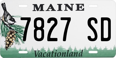 ME license plate 7827SD