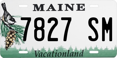 ME license plate 7827SM