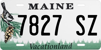ME license plate 7827SZ