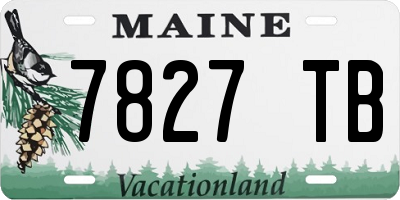 ME license plate 7827TB