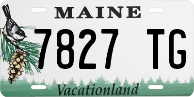 ME license plate 7827TG