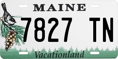 ME license plate 7827TN