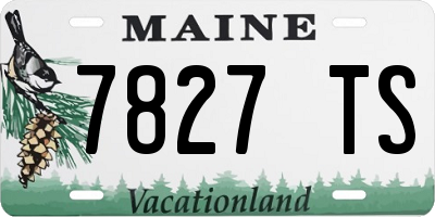 ME license plate 7827TS