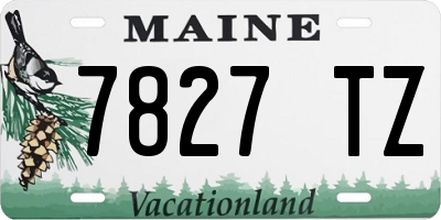 ME license plate 7827TZ