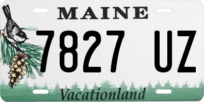 ME license plate 7827UZ