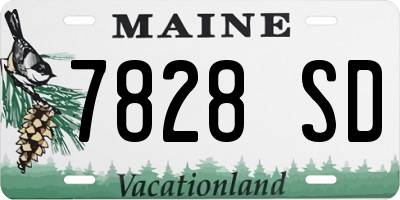 ME license plate 7828SD