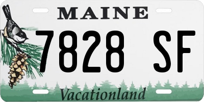 ME license plate 7828SF