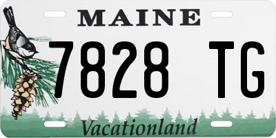 ME license plate 7828TG