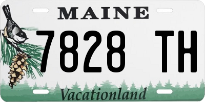 ME license plate 7828TH