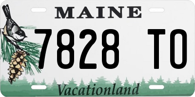 ME license plate 7828TO