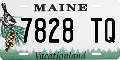 ME license plate 7828TQ