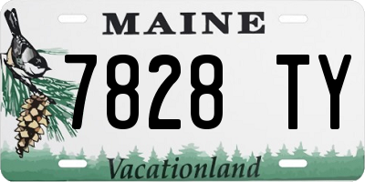 ME license plate 7828TY