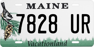 ME license plate 7828UR