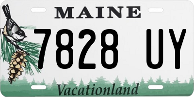 ME license plate 7828UY