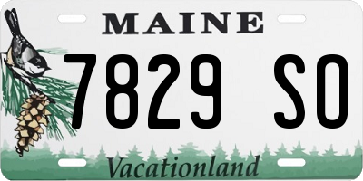 ME license plate 7829SO