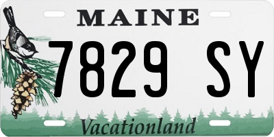 ME license plate 7829SY