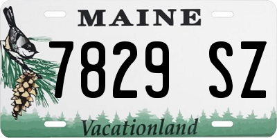 ME license plate 7829SZ