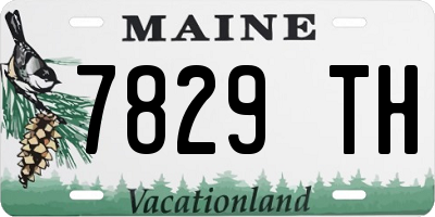 ME license plate 7829TH