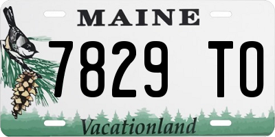 ME license plate 7829TO