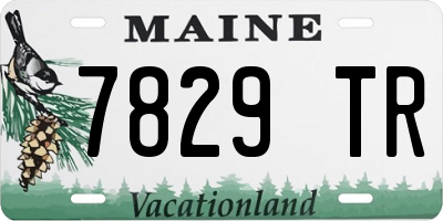 ME license plate 7829TR