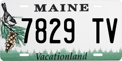 ME license plate 7829TV