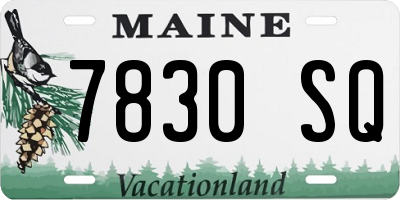 ME license plate 7830SQ