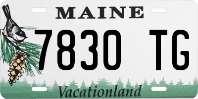 ME license plate 7830TG