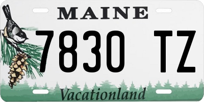 ME license plate 7830TZ