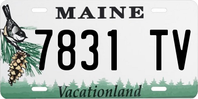 ME license plate 7831TV