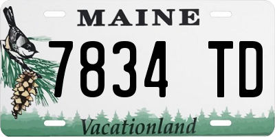 ME license plate 7834TD