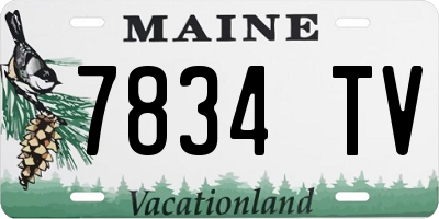ME license plate 7834TV