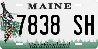 ME license plate 7838SH